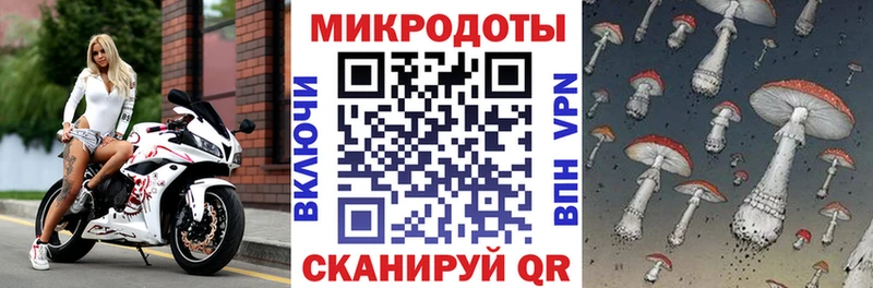 где продают mega ТОР Галлюциногенные грибы мухоморы Лукоянов